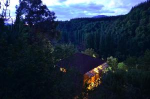 dom w środku lasu w nocy w obiekcie Turismo El Recodo, cabañas y camping w mieście San Clemente