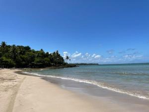 a sandy beach with trees and the ocean at Quarto em frente à praia de Moreré in Moreré