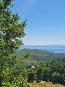 SiscoCasa l'Ortulanu的一座小山上的灯塔,背景是大海