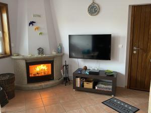 sala de estar con chimenea y TV de pantalla plana en ALOJAMENTO SAUDADE en Gafanha da Boa Hora