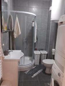 un bagno con doccia, lavandino e WC di Studio D a Sombor
