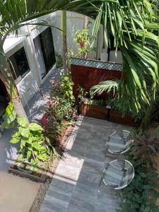Zahrada ubytování Hotel Siesta Holbox