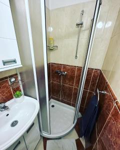 a bathroom with a shower and a sink at Central Peaceful Nest Belgrade in Belgrade +7 photos