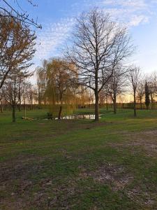 a field with trees and a body of water at Domein Den Buiten Bed And Breakfast DnD in Sint-Niklaas