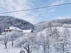 una casa cubierta de nieve junto a una montaña en Pensiunea La Nenea Iancu, en Pianu de Sus