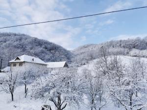 una casa ricoperta di neve accanto a una montagna di Pensiunea La Nenea Iancu a Pianu de Sus Altre 15 foto