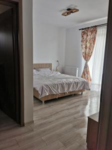1 dormitorio con cama y ventana en Pensiunea La Nenea Iancu, en Pianu de Sus