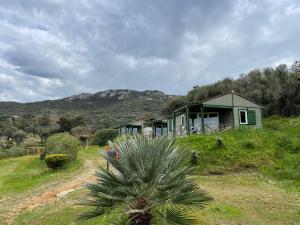 uma casa numa colina com uma palmeira à frente em Lavallee em Campomoro