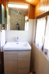 ein Badezimmer mit einem weißen Waschbecken und einem Spiegel in der Unterkunft Petit chalet de montagne avec espace extérieur in Labaroche + 17 Fotos