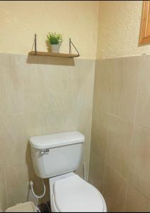 a bathroom with a toilet and a plant on a shelf at La Carreta in Aquitania