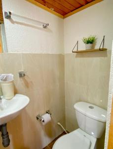 a bathroom with a toilet and a sink at La Carreta in Aquitania