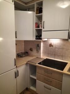 Kuchyňa alebo kuchynka v ubytovaní Cervinia Apartments