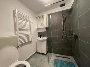 ein Bad mit einer Dusche, einem WC und einem Waschbecken in der Unterkunft Casa Lupilor Transfăgărășan in Căpăţîneni-Ungureni