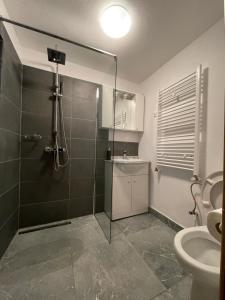 Koupelna v ubytování Casa Lupilor Transfăgărășan