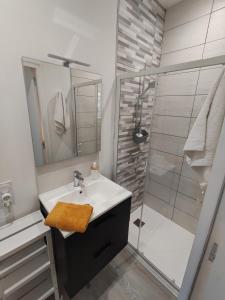 La salle de bains est pourvue d'un lavabo et d'une douche. dans l'établissement Résidence Manivi, à Beaupréau