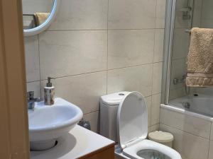 a bathroom with a toilet and a sink and a shower at Belleview Heights in Limassol
