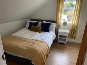 a bedroom with a bed with blue pillows and a window at Harry’s place in Mullingar