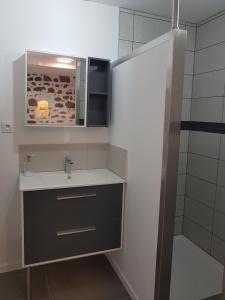 La salle de bains est pourvue d'un lavabo et d'une douche. dans l'établissement Appartement entre Saint-Malo, Dinard, Dinan et Dol, à Miniac-Morvan