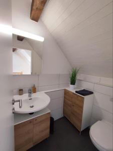 a bathroom with a sink and a toilet at Central-city Penthouse in Bern