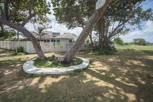 Zahrada ubytování Island Breeze Beach Villa