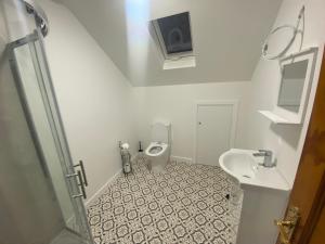 a bathroom with a toilet and a sink at Harry’s place in Mullingar