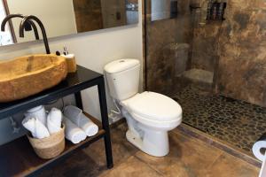een badkamer met een toilet, een wastafel en een douche bij GRETEL CHALETS SUIZO in Guatapé
