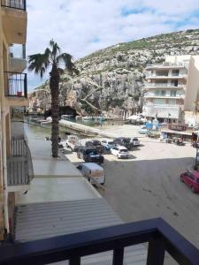 a view of a beach with a palm tree and buildings at Seaside Xlendi apartment in Xlendi