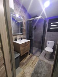 uma casa de banho com um chuveiro, um WC e um lavatório. em Domki letniskowe Leśny Chillout em Solina