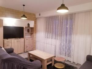 TV o dispositivi per l'intrattenimento presso Apartments Beka