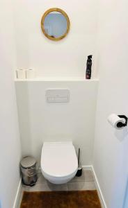 a bathroom with a white toilet and a mirror at Ostend Center Luxury Top Floor Apartment with Free Parking in Ostend