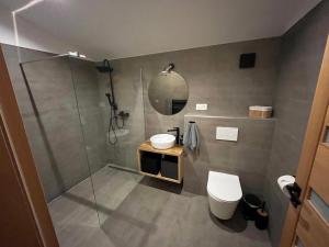 a bathroom with a shower and a toilet and a sink at Chata Pod Skalkami in Vyšný Kubín