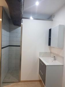een witte badkamer met een wastafel en een douche bij Appartement spacieux Saint-Malo, Dinard, Dinan et Dol in Miniac-Morvan