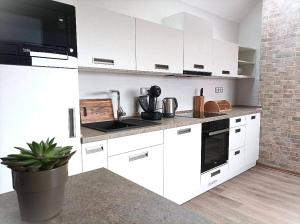 Kuchyň nebo kuchyňský kout v ubytování Apartmán UšeBu