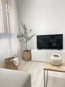 sala de estar con TV de pantalla plana y planta en Smart Stay Córdoba, en Córdoba