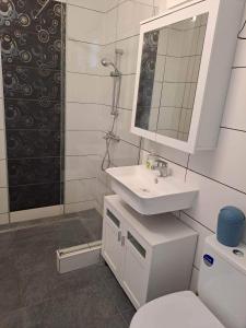 uma casa de banho com um lavatório, um WC e um chuveiro em Sünfészek Vendégház em Göd