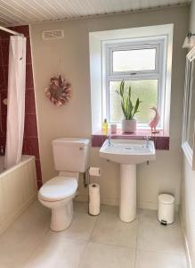 a bathroom with a toilet and a sink and a window at Wee Silverburn in Whiting Bay +37 photos