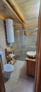 La salle de bains est pourvue de toilettes et d'un lavabo. dans l'établissement Apartmani Prica, à Crni Vrh
