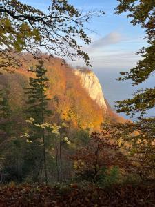 a view of a mountain in the fall with trees at Sonnige Souterrain-Ferienwohnung in Sassnitz