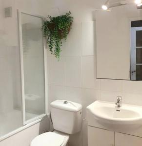 比茲米內瓦的住宿－Maison Centre Historique Bize Minervois + Terrasse，白色的浴室设有卫生间和水槽。