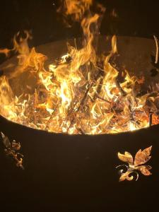een pot vuur met vlammen erin bij Elbidyll in Maagdenburg