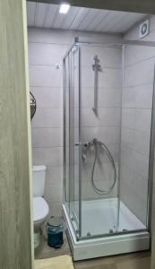 a shower with a glass door in a bathroom at Apartmani 2 SS in Ohrid