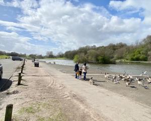 a group of people walking along a river with birds at Emerald Properties UK - Stoke-on-Trent City Centre, close to Alton Towers in Stoke on Trent