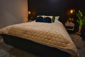 1 dormitorio con 1 cama grande y 2 almohadas azules en Room4stars en Otruševec