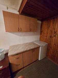 Η κουζίνα ή μικρή κουζίνα στο Frida Apartman