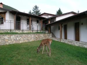 Zvířata v bed and breakfast nebo okolí