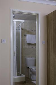 a bathroom with a toilet and a glass shower at Lyme Bay House in Dawlish