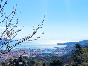 Paesaggio naturale nelle vicinanze dell'affittacamere