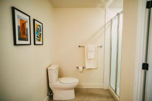 a bathroom with a toilet and a shower at NEW Stylish 2BR Condo with Views in North End in Halifax