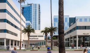 un groupe de palmiers devant un bâtiment dans l'établissement Luxe Rock Bungalow in the Heart of Hollywood, à Los Angeles