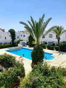 a swimming pool with palm trees in front of a building at Très beau studio avec piscine in Hammamet Sud